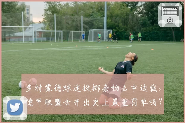 多特蒙德球迷投掷杂物击中边裁，德甲联盟会开出史上最重罚单吗？